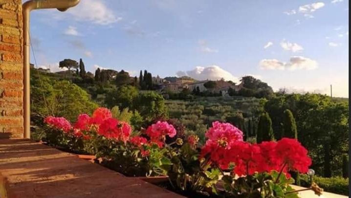 Leonaerdo Guests House Apartment Panicale Luaran gambar